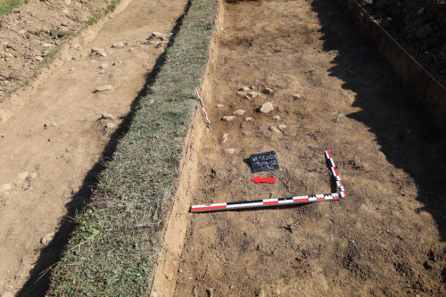 Valea Stânii, campania 2021. T 24 (puternic afectat de lucrările agricole), pe proprietatea Florin Toma, zona sudică a necropolei.